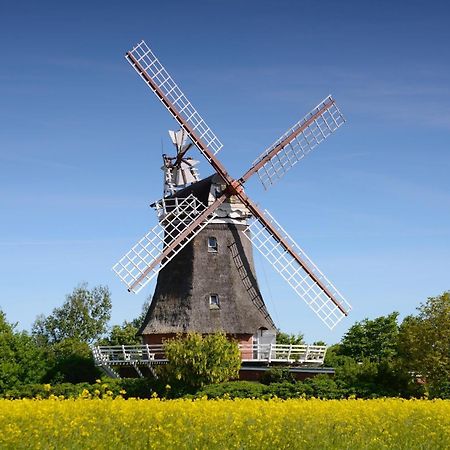Ferienwohnung Haus Störtebecker Wyk auf Föhr Exterior foto